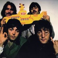 Blackbird Blackbird